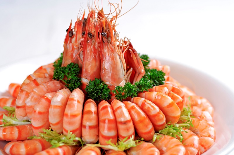 Rose Sea Shrimps z.jpg